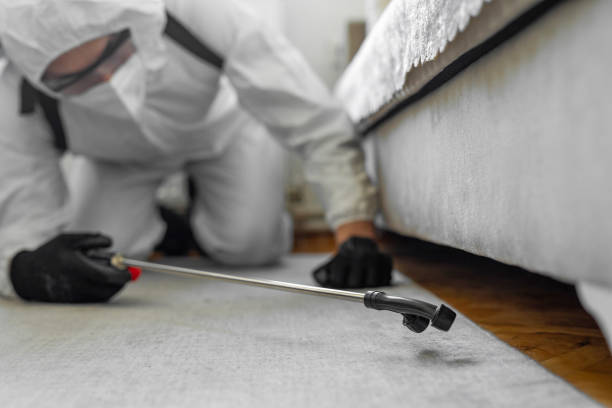 Professional Termite Control technician working in Westfield, NJ