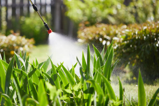 24/7 Emergency Termite Control experts in Westfield, NJ