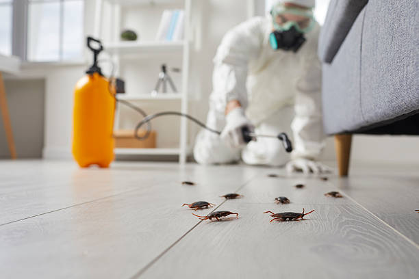Trusted Cockroach Control service in Westfield, NJ - Nex Pest Control