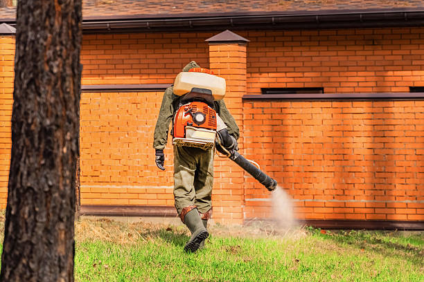 Trusted Termite Control service in Westfield, NJ - Nex Pest Control